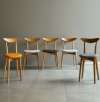 Five wooden chairs with different colored cushions arranged in a row against a neutral background